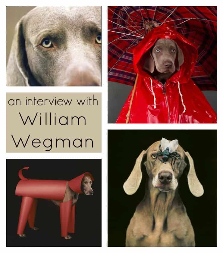 http://www.artisbasic.com/2014/10/interview-william-wegman.html